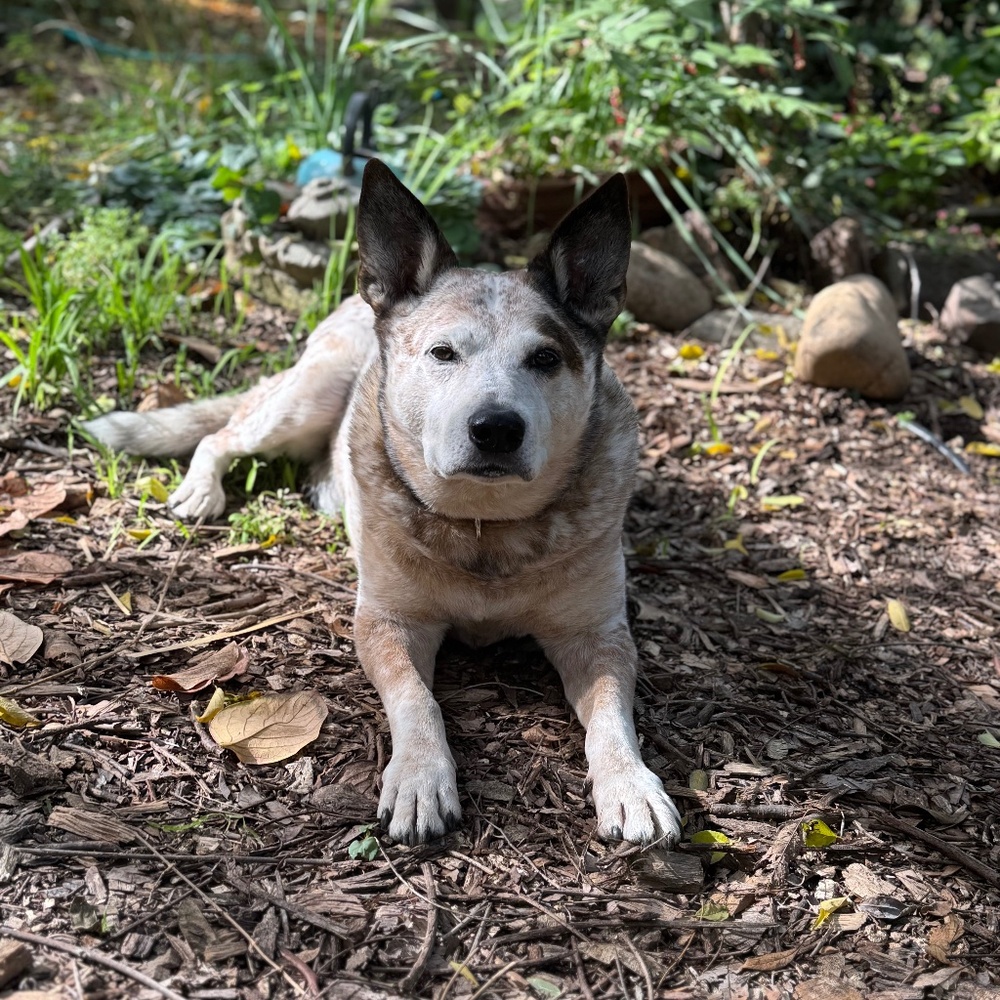 Meet your Posher, Jenella